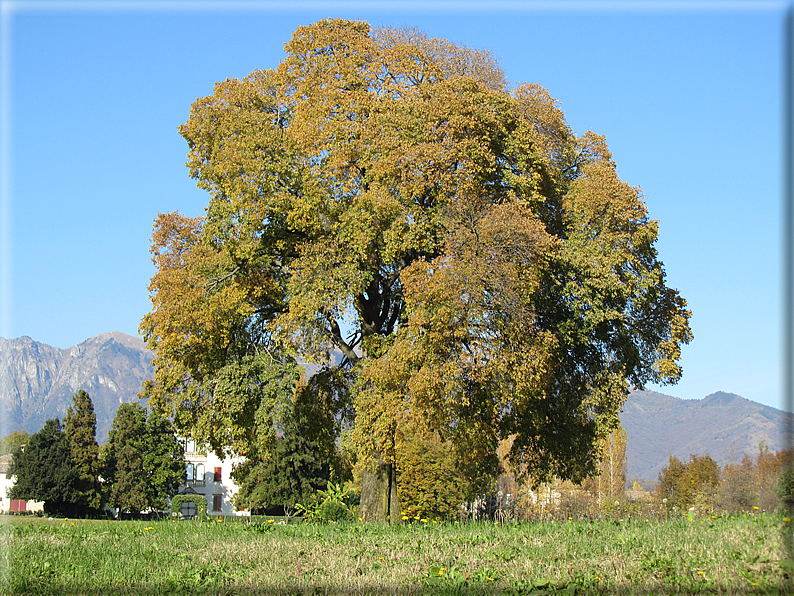 foto Paesaggi Autunnali tra le colline Fontesi